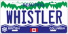 License Plate Magnet