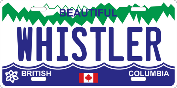 License Plate Magnet