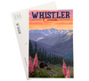 Bear & Cubs on a Summer Rolling Hill Mountain Range Ceramic Whistler Postcard
