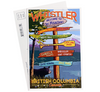 Black Bear Standing Beside Whistler Trail Signs by the lake Postcard