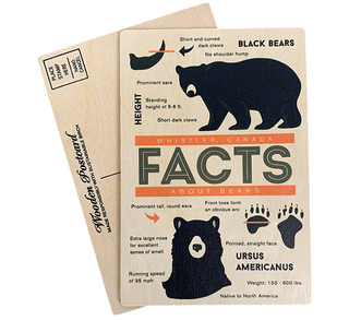 Bear Facts Whistler Wooden Postcard