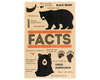 Bear Facts Whistler Wooden Magnet