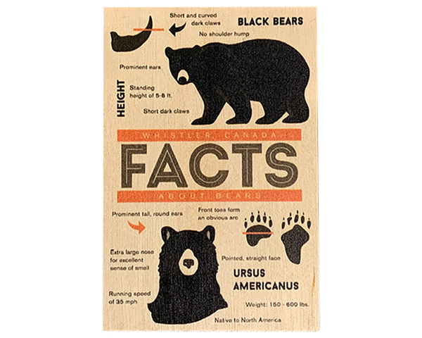 Bear Facts Whistler Wooden Magnet