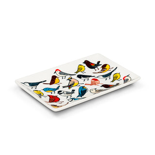 All Over Multi Color Birds Print  Rectangle Dish