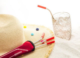 4 Stainless Steel Straws with Brush Cleaner and Red Case