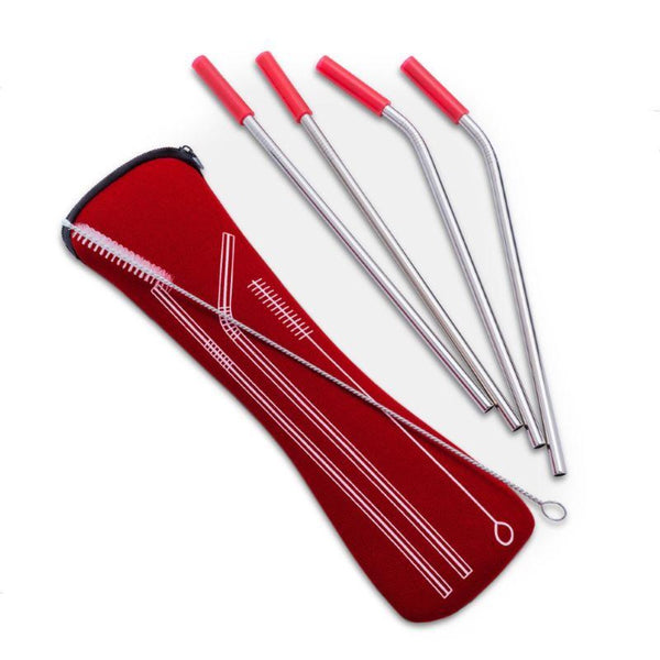 4 Stainless Steel Straws with Brush Cleaner and Red Case