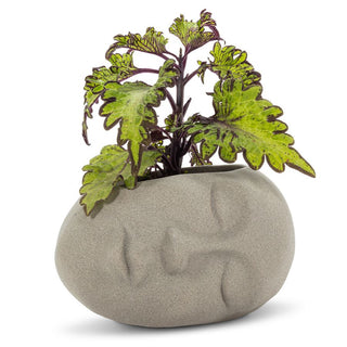 Sleeping Head Cement Planter