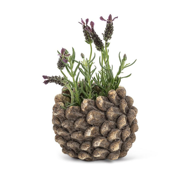 pine cone plant pot Pinecone Planter