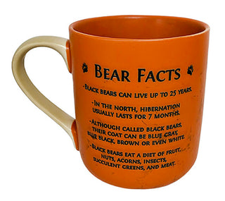 Bear Facts Mug