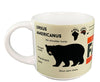 Bear Facts  Short Mug