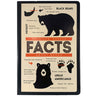 Bear Facts  Cover Journal