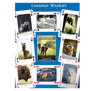 Canadian Beauty Playing Cards