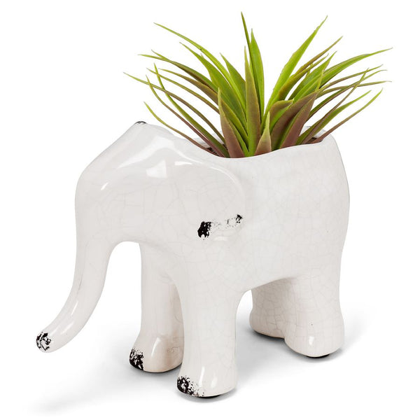 Airplant in Ceramic Elephant Shape Planter 