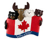 4 Whimsical Wildlife Canada Flag  Resin  Magnet