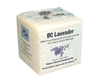 Soap Cube BC Lavender