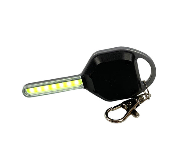 LED Light Keychain
