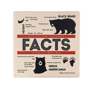 Bear Facts Ceramic Coaster