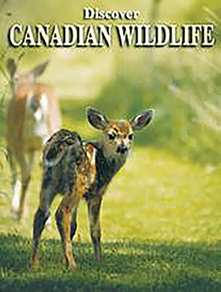 Canadian Beauty Playing Cards